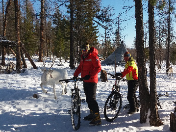 Biking through winter wonders to the Taiga