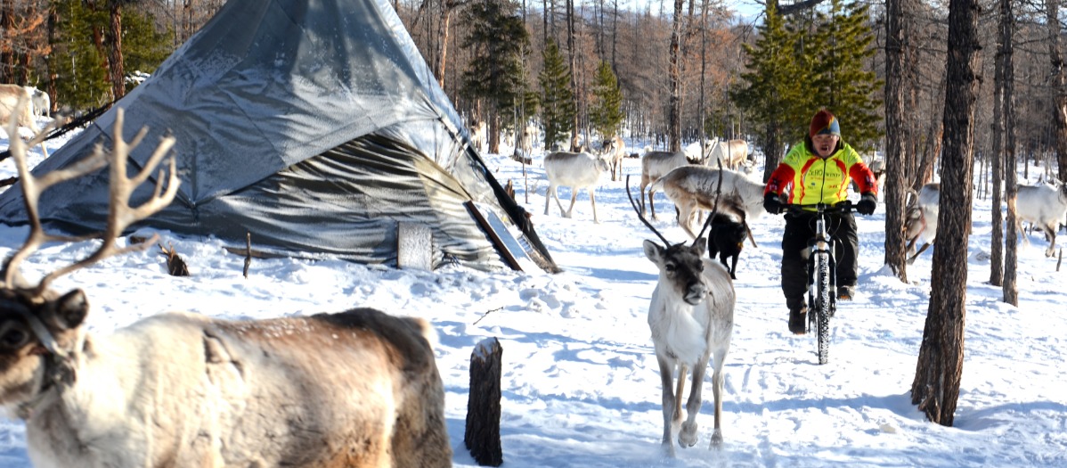 Biking through winter wonders to the Taiga
