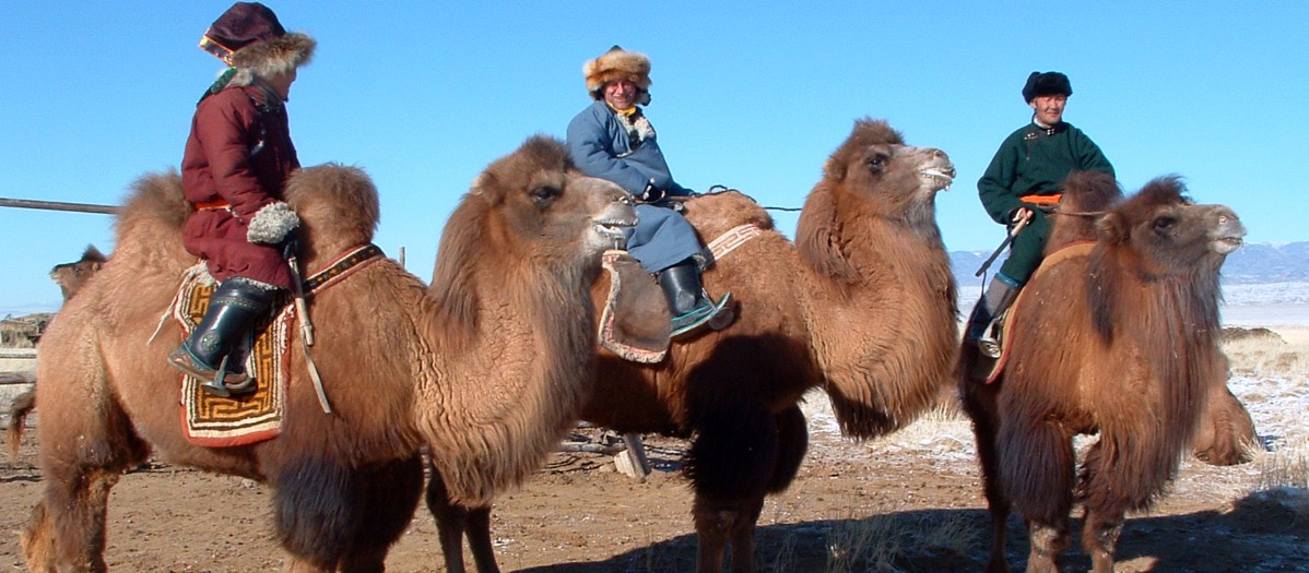 The Winter Highlights of Mongolia 