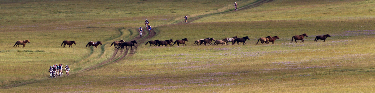 Mountain Biking & Cycling Tours