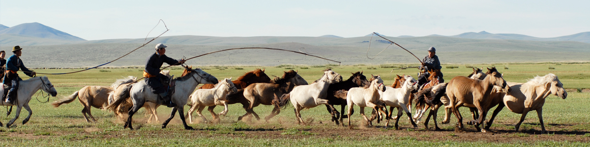 Horse Riding Tours