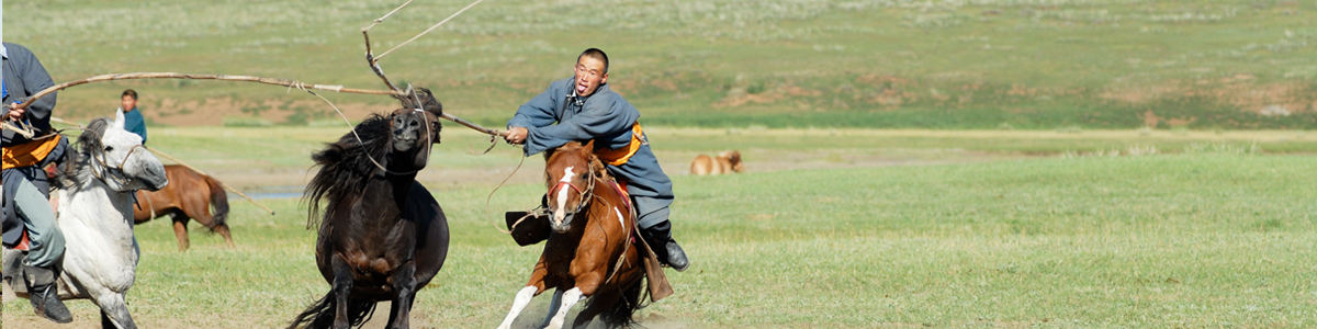 Cultural & Festival Tours