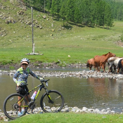 Mongolia Expeditions and Tours LLC