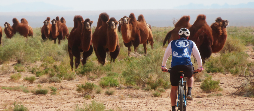 Gobi Desert Mountain Bike Tour Mongolia 2026 – 345 km Across the Wild Gobi